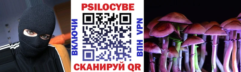 что такое наркотик Отрадное Псилоцибиновые грибы Psilocybine cubensis
